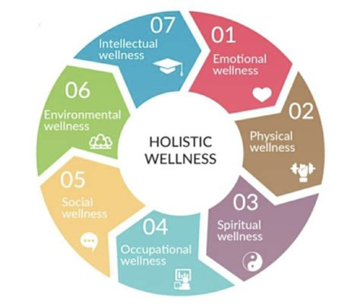 Anant Health: A Journey Towards Holistic Wellness