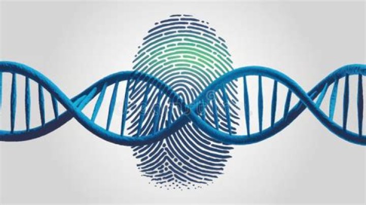 Brittney Griner And Chromosomes: Understanding The Intersection Of Genetics And Identity