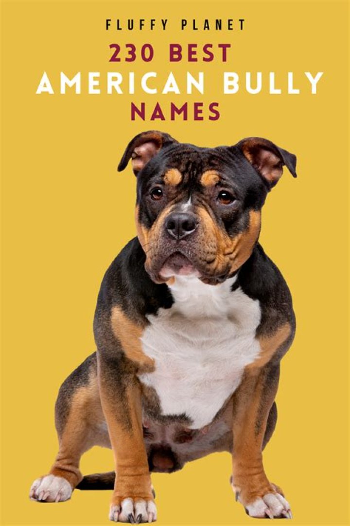 Check Out The Most Popular Bully Names For Aubaleigh Wyatt