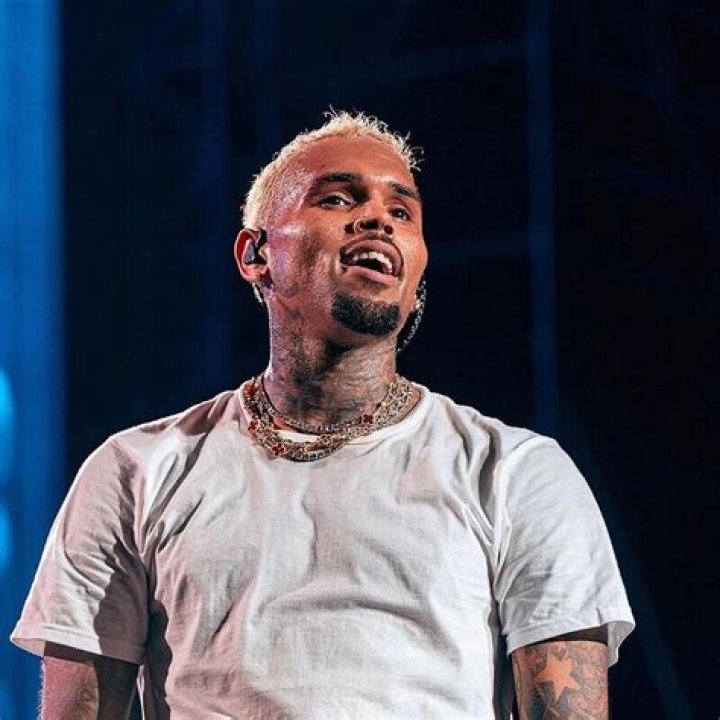 Chris Brown's Children: A Look At Their Ages And Lives
