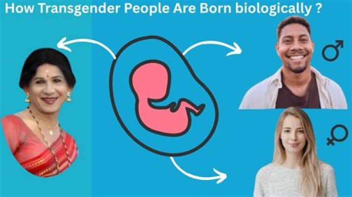 Controversy: Brittany Griner And Biological Gender Identity