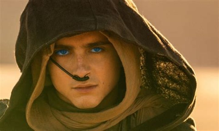 Discover Movies Starring Timothee Chalamet: A Cinematic Journey