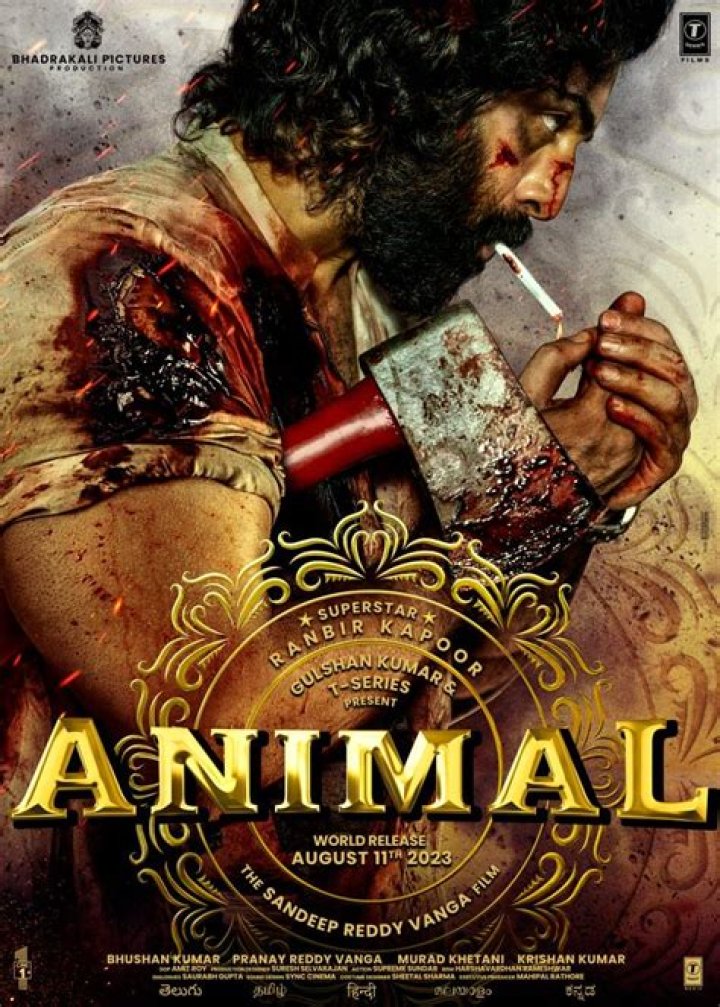 Discover The Ultimate Bollywood HD Movie Hub
