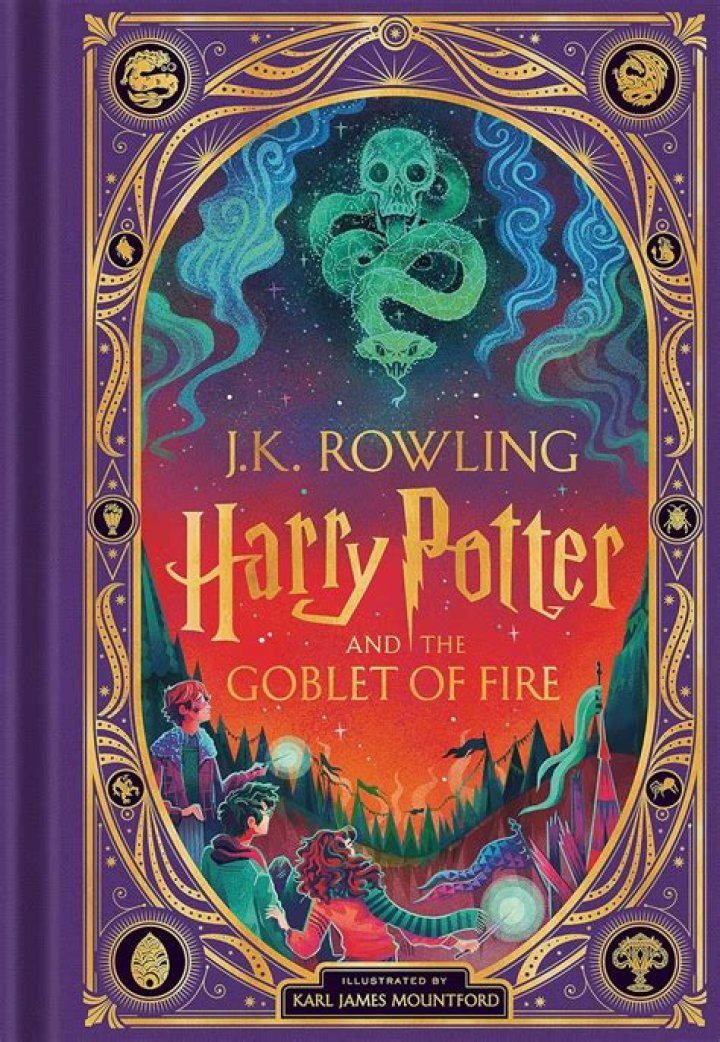 Discovering Harry's Age In Goblet Of Fire
