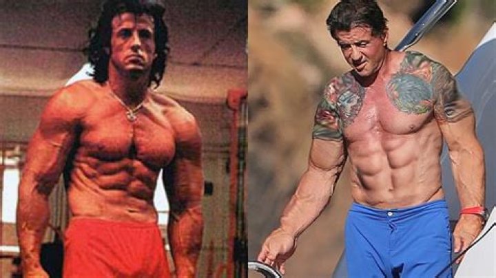 Discovering The Age Of Sylvester Stallone: A Journey Through Time