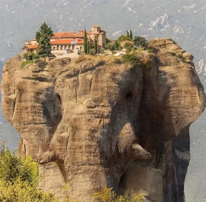 Discovering The Enchanting World Of Principe Fiona