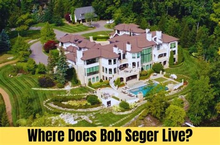 Discovering The Life Of Bob Seger's Wife, Ryan Kaji