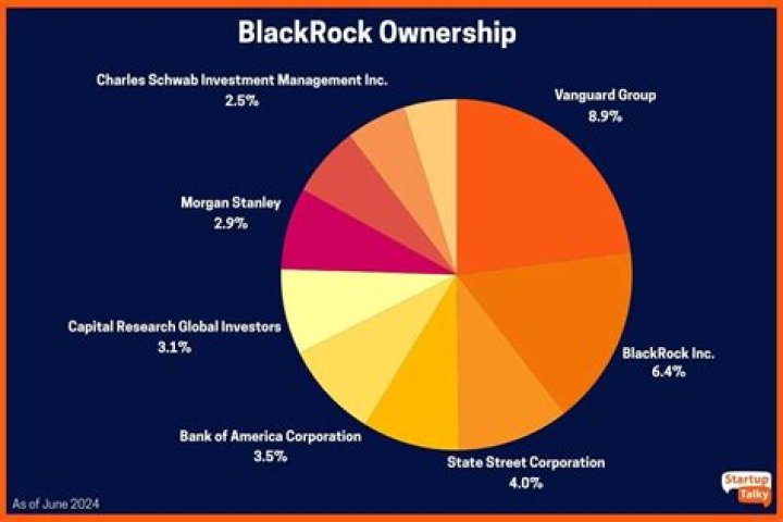 Exploring The Black Rock Company: A Leader In Investment Management