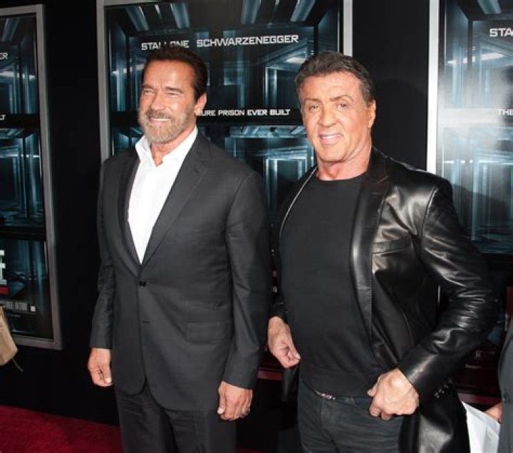 Exploring The Legendary Life And Career Of Sylvester Stallone