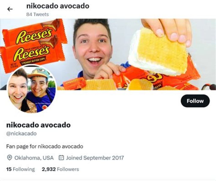 Exploring The Life And Age Of Nikocado Avocado