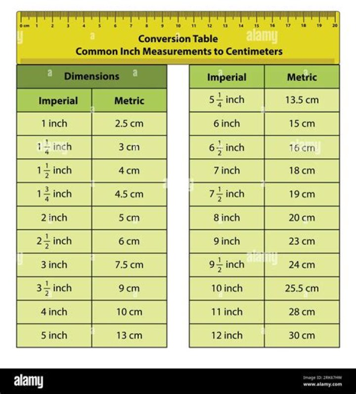 Find Out Lamine Yamal's Height In Centimeters
