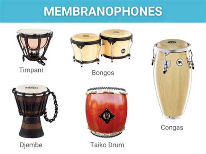 Harlan Drum: The Ultimate Guide To The Versatile Percussion Instrument