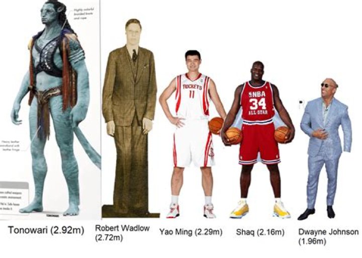 How Tall Is Dan From Dan And Shay: Height Comparison Revealed