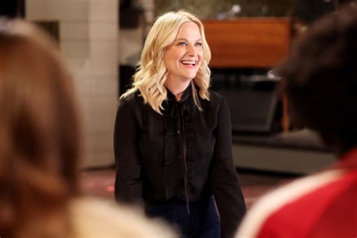 Is Amy Poehler Pregnant Soon? Find Out Here!