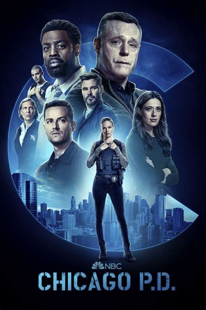 Is Chicago PD A Realistic Portrayal Of Policing?