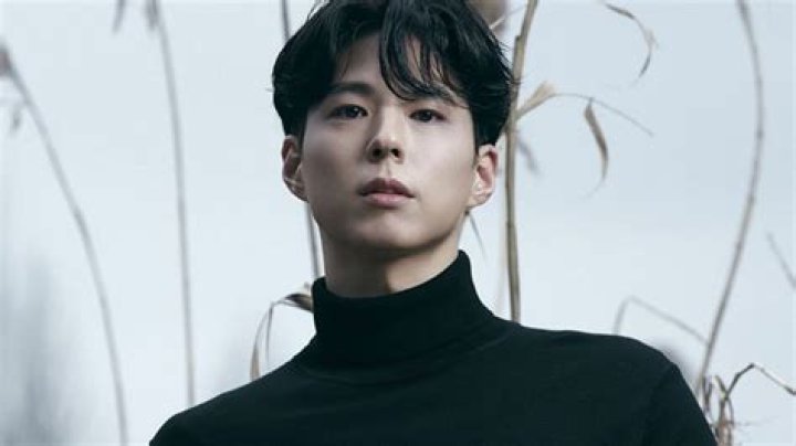 Korean Actor Park Bo Gum: A Rising Star In The Entertainment Industry