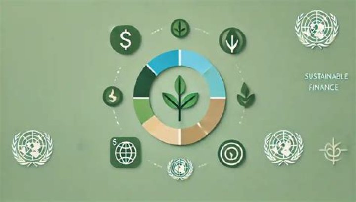 Meet Daynise Gatlin: Renowned Expert On Sustainable Finance