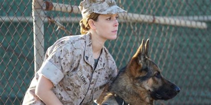 Megan Leavey: Where Is She Now?