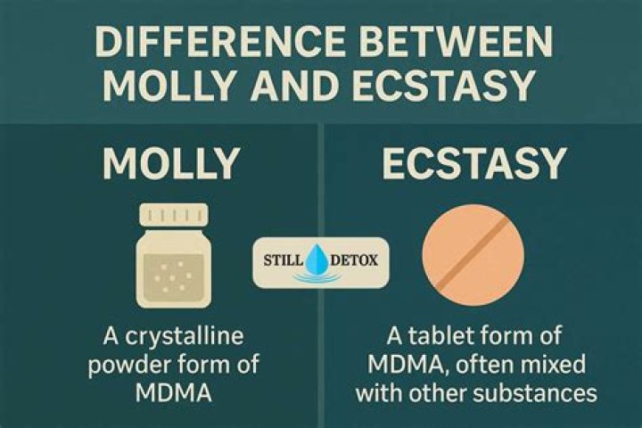 Molly MDMA: The Allure And Reality Of The Popular Party Drug