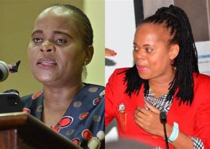 Phophi Ramathuba And Her Daughter's Bond: A Family Affair In South African Politics