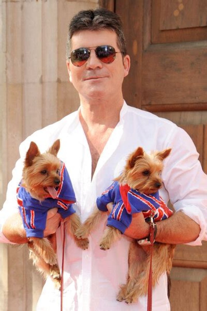 Simon Cowell's Puppy: The Adorable Addition To A Star's Life