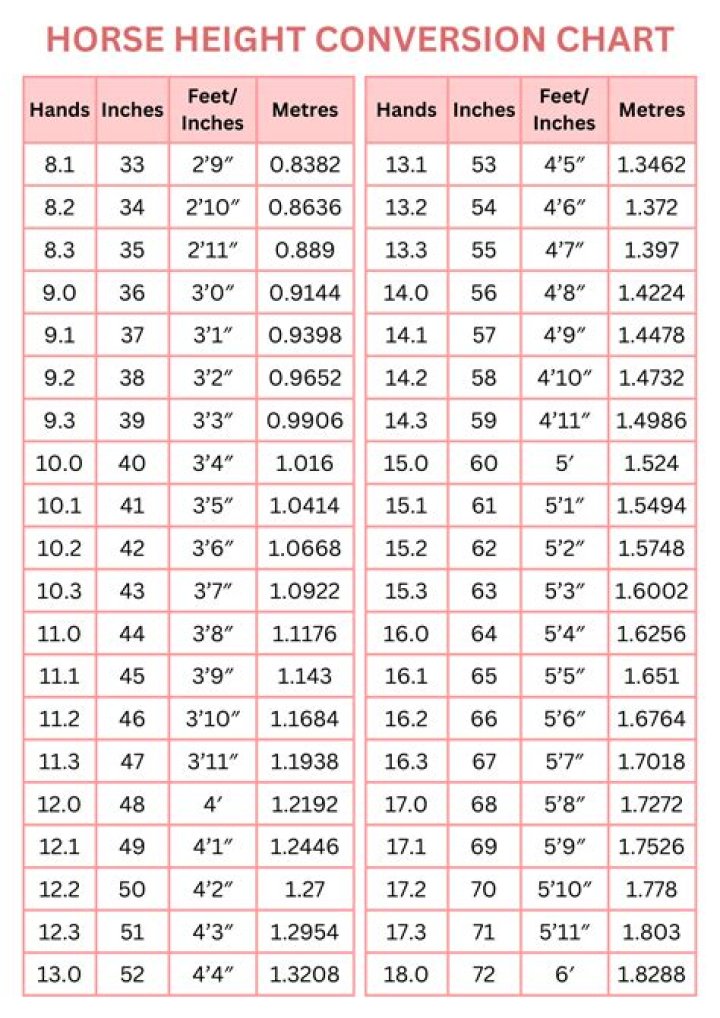 Top Result: Michael C. Hall's Height In Feet And Inches