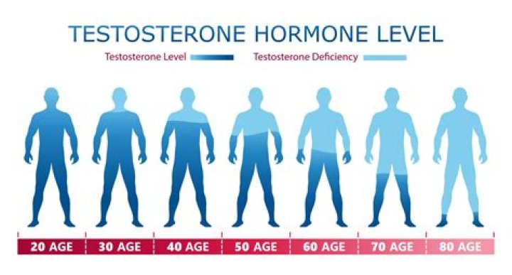 Trending Facts About Brittney Griner's Testosterone Levels