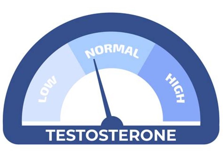 Understanding Brittany Griner's Testosterone Levels: Impact And Context