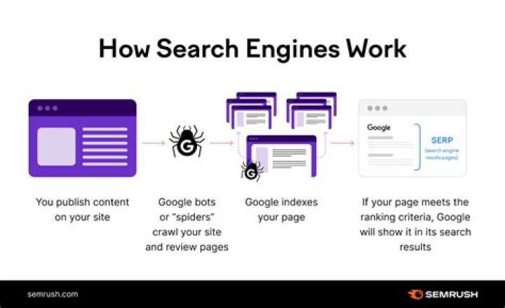 Understanding The Importance Of A Search Engine Page Rank Checker