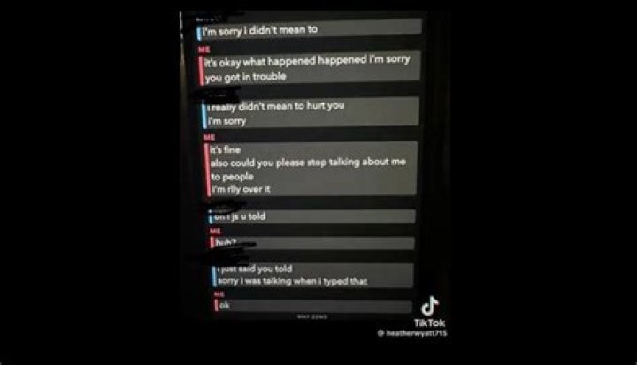 Understanding The Reasons Behind The Bullying Of Aubreigh Wyatt