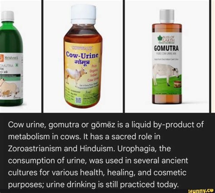 Understanding Urophagia: The Unconventional Habit Of Drinking Urine