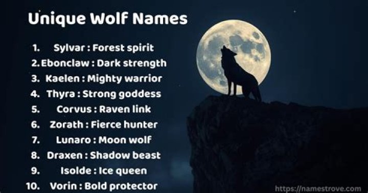 Unleashing The Spirit: Badass Wolf Names For Your Fierce Companions