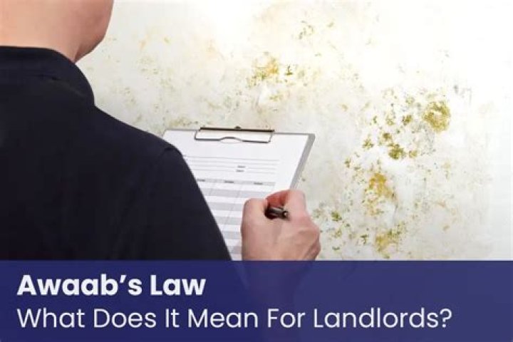 Unraveling The Legal Landscape: What Does Law Mean For Aubreigh Wyatt?