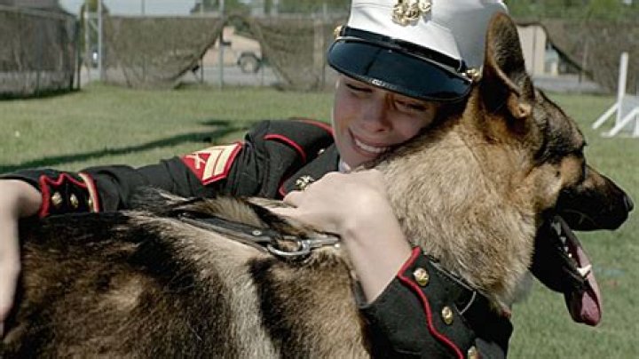 Unraveling The Love Story: Does Megan Leavey Marry Matt Morales?