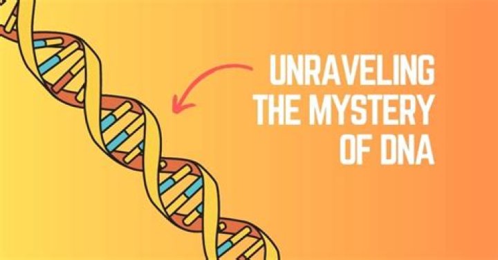 Unraveling The Mystery: What Is Wrong With Rudi Claase?