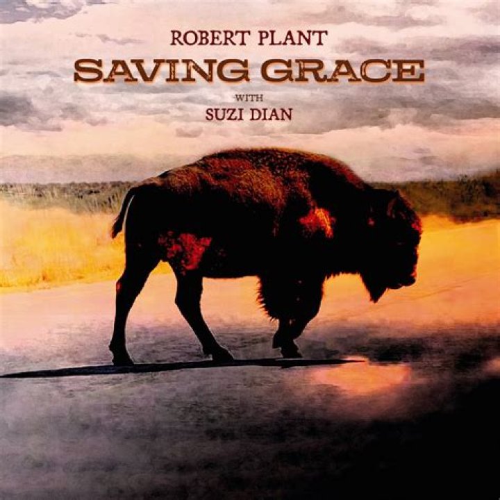 Unraveling The Mystique Of Robert Plant's Age