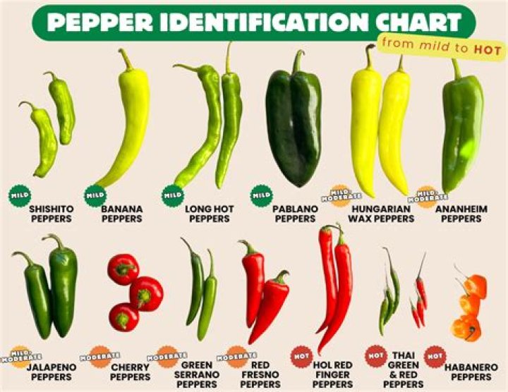 Unveiling The Dynamic Duo: Anthony And Helena Of The Red Hot Chili Peppers