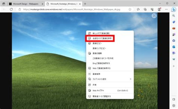 Unveiling The Mysteries Of Site:blob.core.windows.net