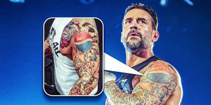 Unveiling The Secrets: CM Punk's Impact On Children's Entertainment