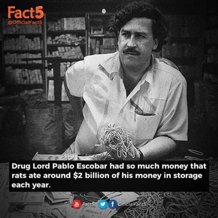 Unveiling The Wealth Of A Notorious Kingpin: How Much Did Pablo Escobar Make A Day?